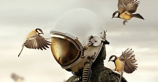 Завораживающие фото победителей конкурса фотографии Sony World Photography Awards 2019