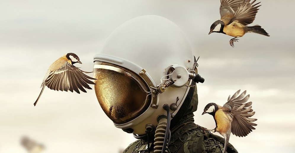 Завораживающие фото победителей конкурса фотографии Sony World Photography Awards 2019