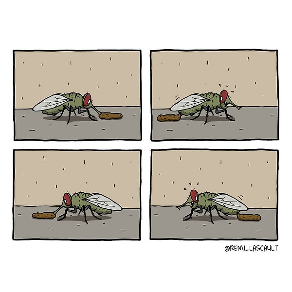 10. Круговорот