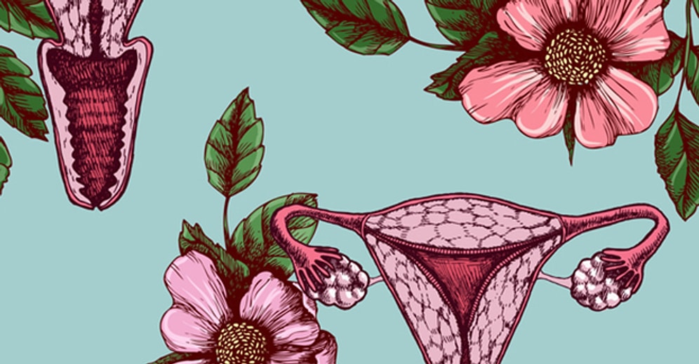 Какая вы девушка, если не наберете 7/7 в этом тесте на знание женской репродуктивной системы