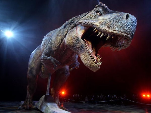 В прошлой жизни вас съел тираннозавр!