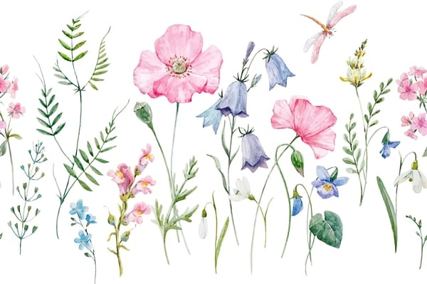 8. Выберите цветок: