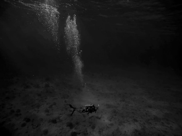 Bu fotoğraf Cayman Adaları'nın kuzey kıyılarında bir kıyı dalış gezisinde çekildi.
