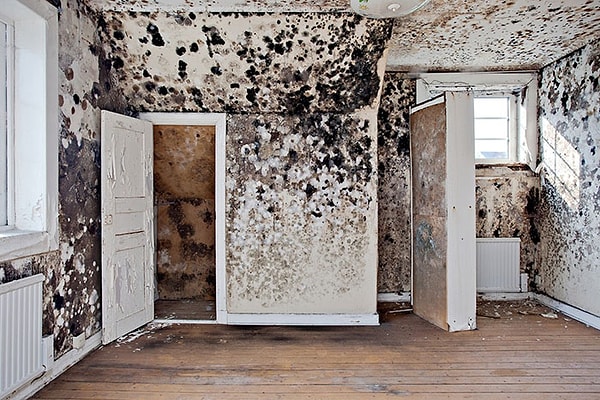 24. После Великой эпидемии чумы 1665 года наступила менее известная Вспышка бубонной гнили спален в 1704.