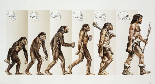 12. А какая изменчивость является основой эволюционного процесса?