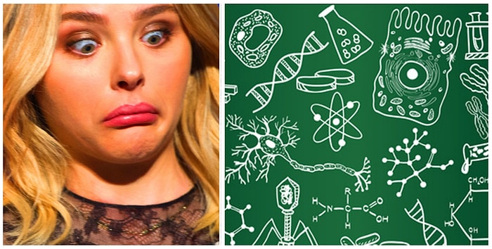 Тест по биологии: Если сможете набрать 13 из 13, то вы как минимум были хорошистом в школе