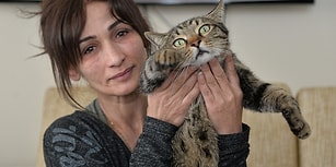 Evde Yangın Çıkınca İnsan Dostunu Uyandırıp Hayatını Kurtaran Kedi Efe 🐾