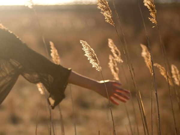 У вас глубокая связь с растениями!