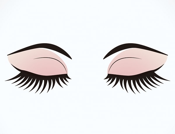 4. Какая средняя продолжительность жизни человеческой ресницы?