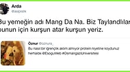 Osmangazi Üniversitesi'nin Yemekhanesinden Böcekli Yemek Çıktı, Sosyal Medya Karıştı!