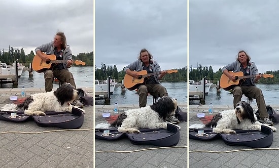Sokak Müzisyenliği Yapan Dostuna Vokaliyle Destek Olan Köpek