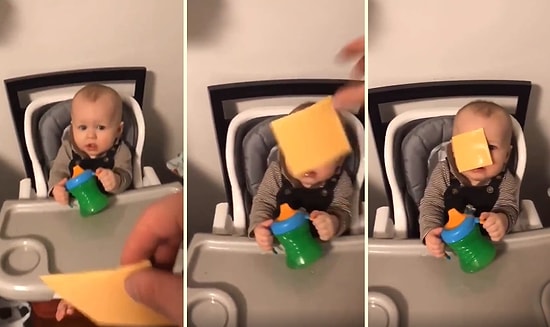 Dünya Tatlısı Kardeşinin Suratına Dilim Peynir Fırlatan Genç, Farkında Olmadan İlginç Bir Akım Başlattı!