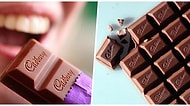 Dünyanın En 'Tatlı' İşi: Haftada Sadece 8 Saat Çikolata Yiyecek İnsanlar Aranıyor!