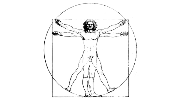 1. Где в человеческом теле расположена диафрагма?