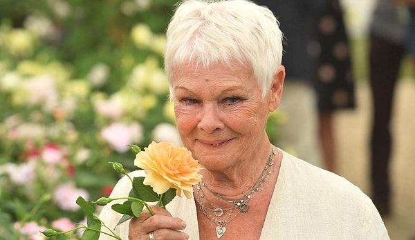 Вы будете активным старичком!