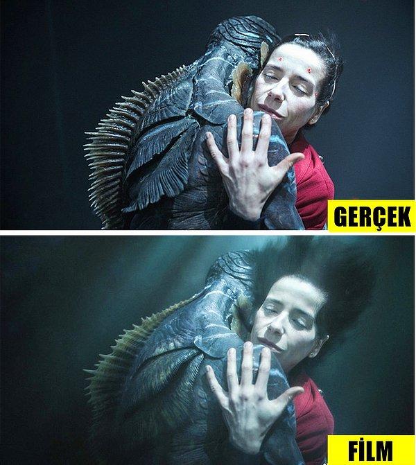 15. The Shape of Water