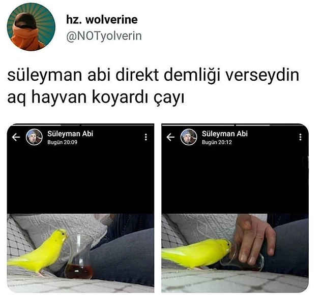 Saldır kanarya.