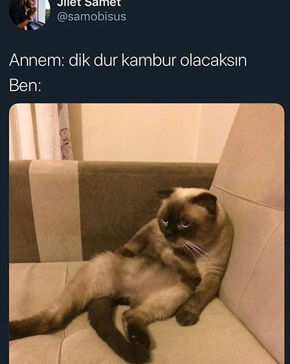 Maç özeti izliyor.
