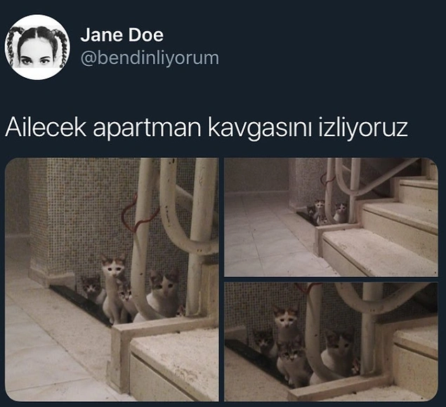 Yüzümüzü, Gözümüzü, Her Yerimizi Kalp Yapacak Tatlılıkta Hayvanlarla İlgili Komik Paylaşımlar