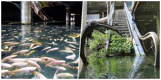 O Her Zaman Kazanır! Doğanın Gücünü Gözler Önüne Seren Hayranlık Uyandırıcı Fotoğraflar