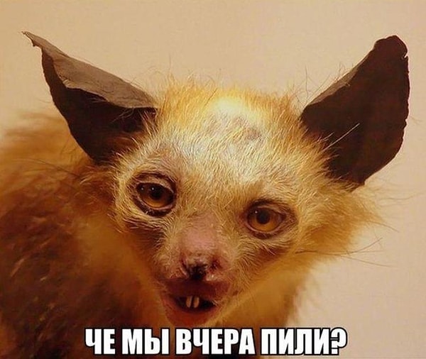 4. Ваш коллега позвонил и сообщил, что не выйдет на работу, потому что у него жуткое похмелье. Ваша реакция?