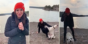 Ormanda 2.5 Yıl Baktığı Köpeği Yeni Ailesinin Yanında Ziyarete Giden Kadına Muhteşem Karşılama