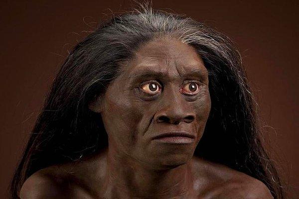 5. 2003 yılında Endonezya'nın Flores Adası'nda 9 ayrı bireye ait kafatası kemikleri bulundu. Yaklaşık 1.1 metre boyunda olan bu bireylerin kemikleri homo floresiensis (Floresli insan) adında bir insan türüne aitti.