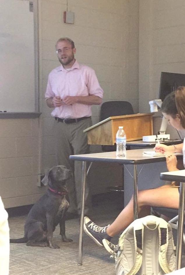 17. "This student brought a dog to class to save it from the hurricane. Her teacher didn’t mind."
