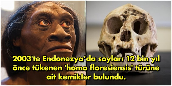 Bunları Her Yerde Duyamazsınız! Okuduktan Sonra Ufkunuzu İki Kat Değil 18 Kat Açacak 18 Enteresan Bilgi