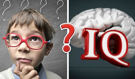 Тест на эрудицию: Вашим IQ можно пробить потолок, если вам удастся ответить на 12 из 14 вопросов