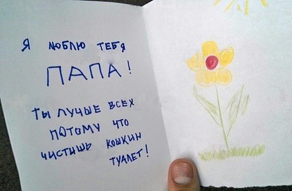 23. Все из-за кошкиного туалета