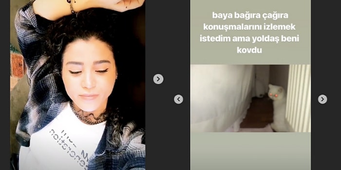 Kedisi Çiftleşsin Diye, Evinde Dişi Sokak Kedisini Hapseden Instagram Fenomeni; Nilay Toprak