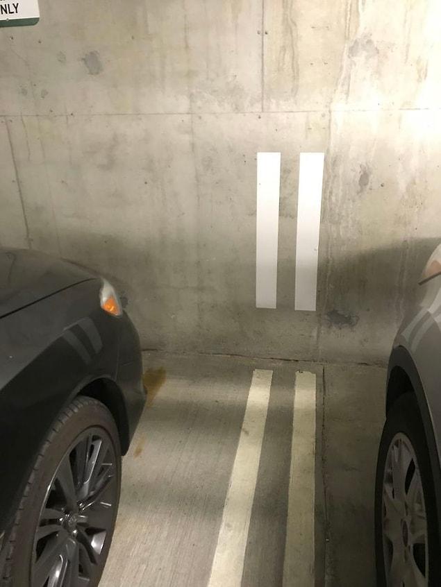 6. "These lines go up the wall so you can park perfectly in-between the lines."
