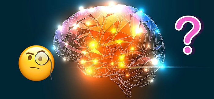 Тест на общие знания, до последнего вопроса которого дойдут только самые эрудированные