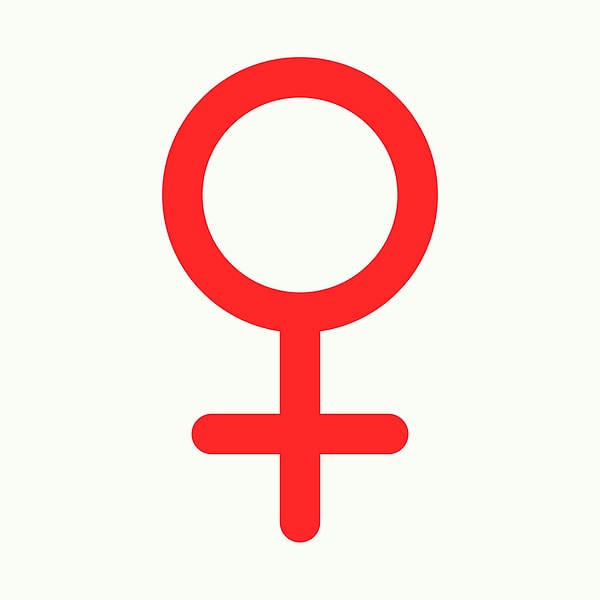 Вы женщина!