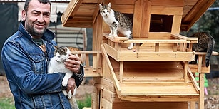 'Kedi Köyü' Kurup Para Toplamıştı: ASKODER Başkanı'na 'Ömür Boyu Hayvan Bulundurmama' Cezası
