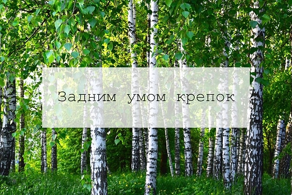 1. О каком человеке скажут: