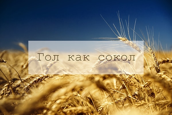 4. Про кого заметят: