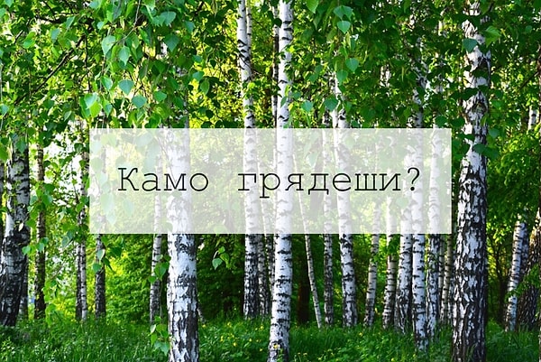7. Что от вас хотят, когда задают такой мудрёный вопрос?
