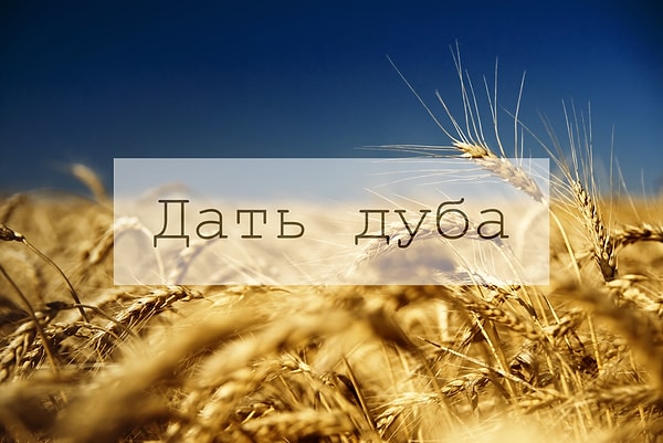 6. А что означает вот такая фраза?