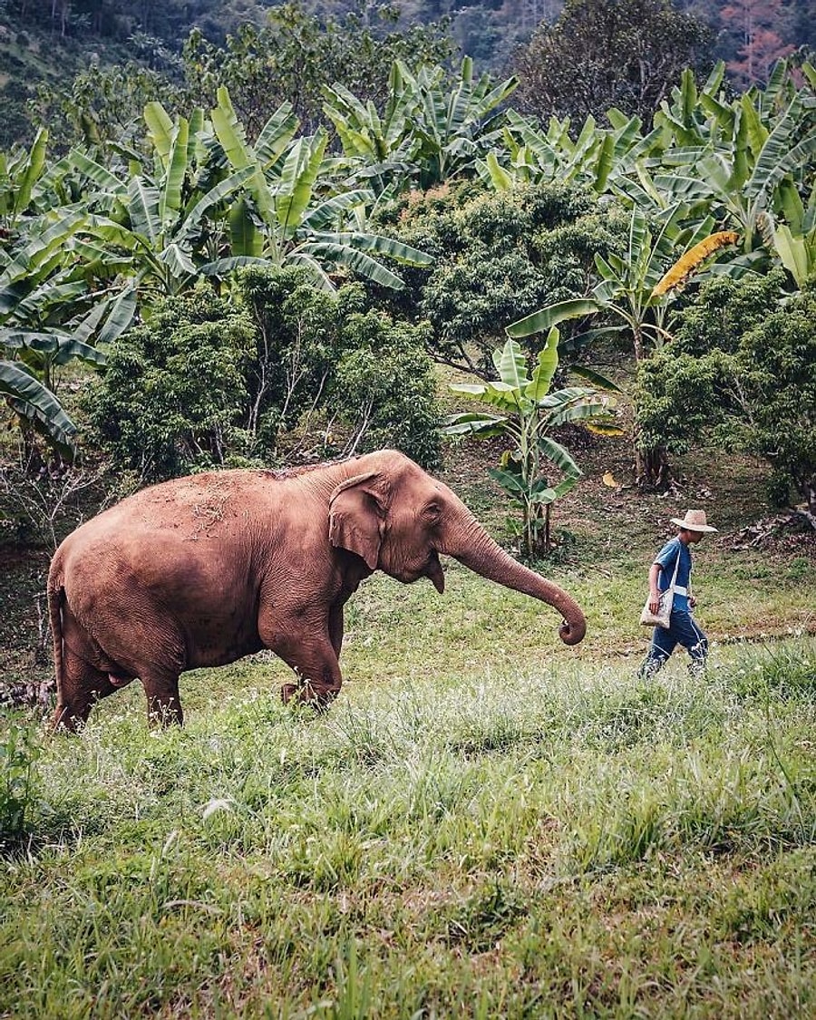 Her Biri Ayri Buyuleyici National Geographic In Instagram Uzerinden Yaptigi Fotograf Yarismasinin Kazananlari Belli Oldu Onedio Com