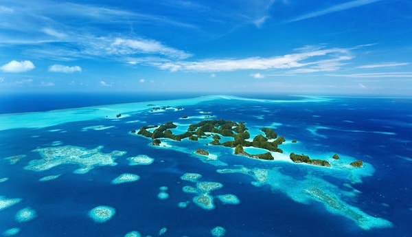 12. Какой океан является самым большим по площади на Земле?