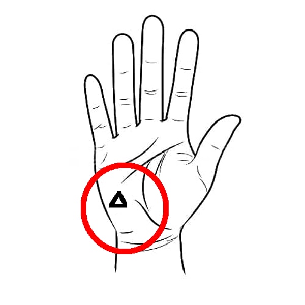 Треугольник: