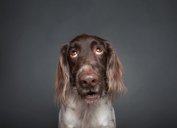 7. А что такое "Тартановая лента"?