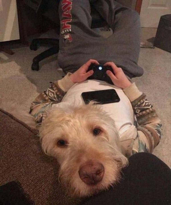 18. «Хозяин занят, я за него»