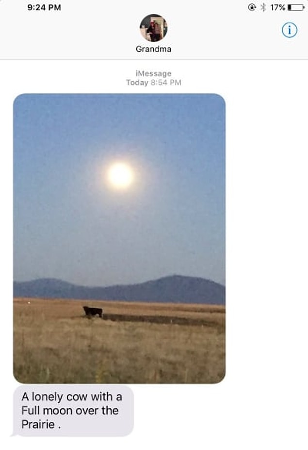 3. "This grandma, who won't let you miss a picturesque scene:"