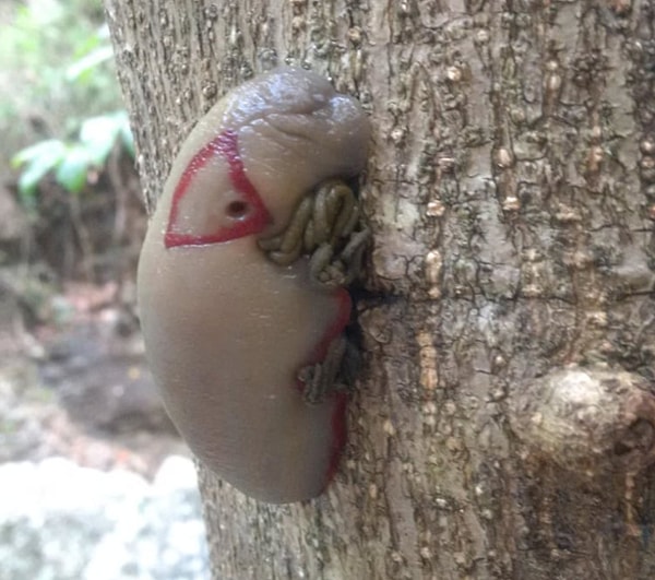 10. Что бы эти ни было, выглядит отвратительно...