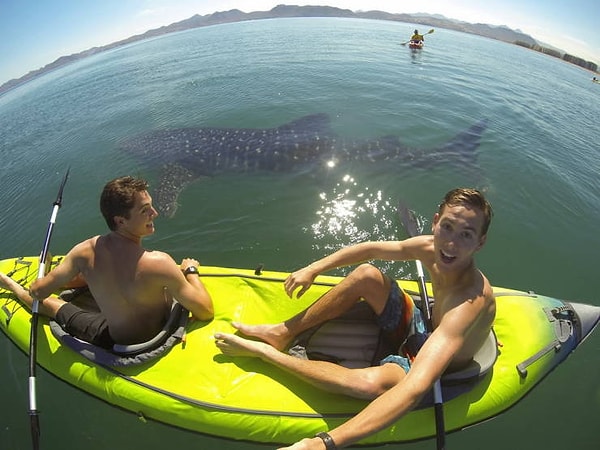 15. А вы бы многое отдали за то, чтобы увидеть это воочию?