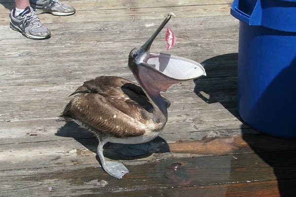 21. Приятного аппетита!