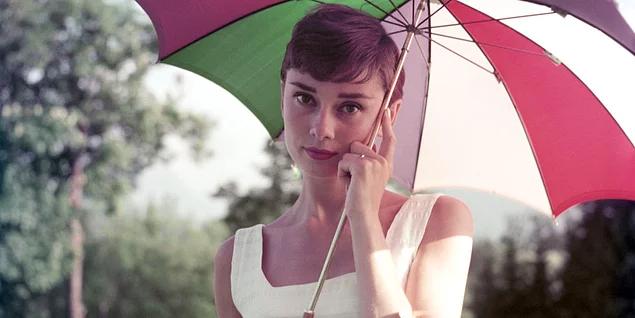 "İmkansız diye bir şey yoktur! Çünkü 'imkansız' kelimesinin içinde bile 'imkan' vardır." - Audrey Hepburn